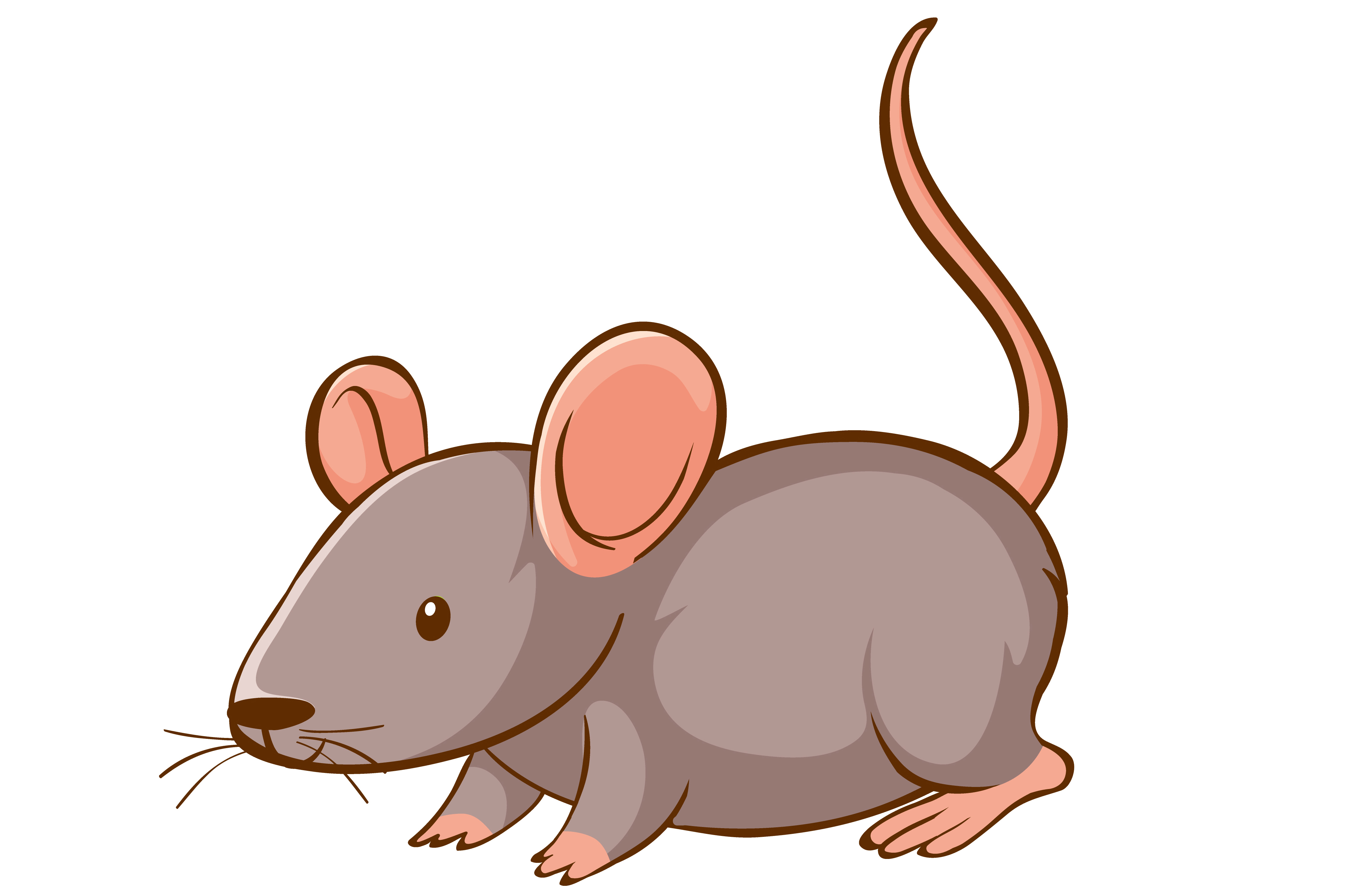Seamless background design with gray rat illustration